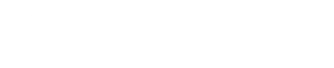 Navigating Japan: Essential Travel Tips and Guides